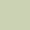 RVCA Ptc Pigment Tank Top - Light Olive