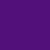 Santa Cruz Classic Dot Tank Top - Purple